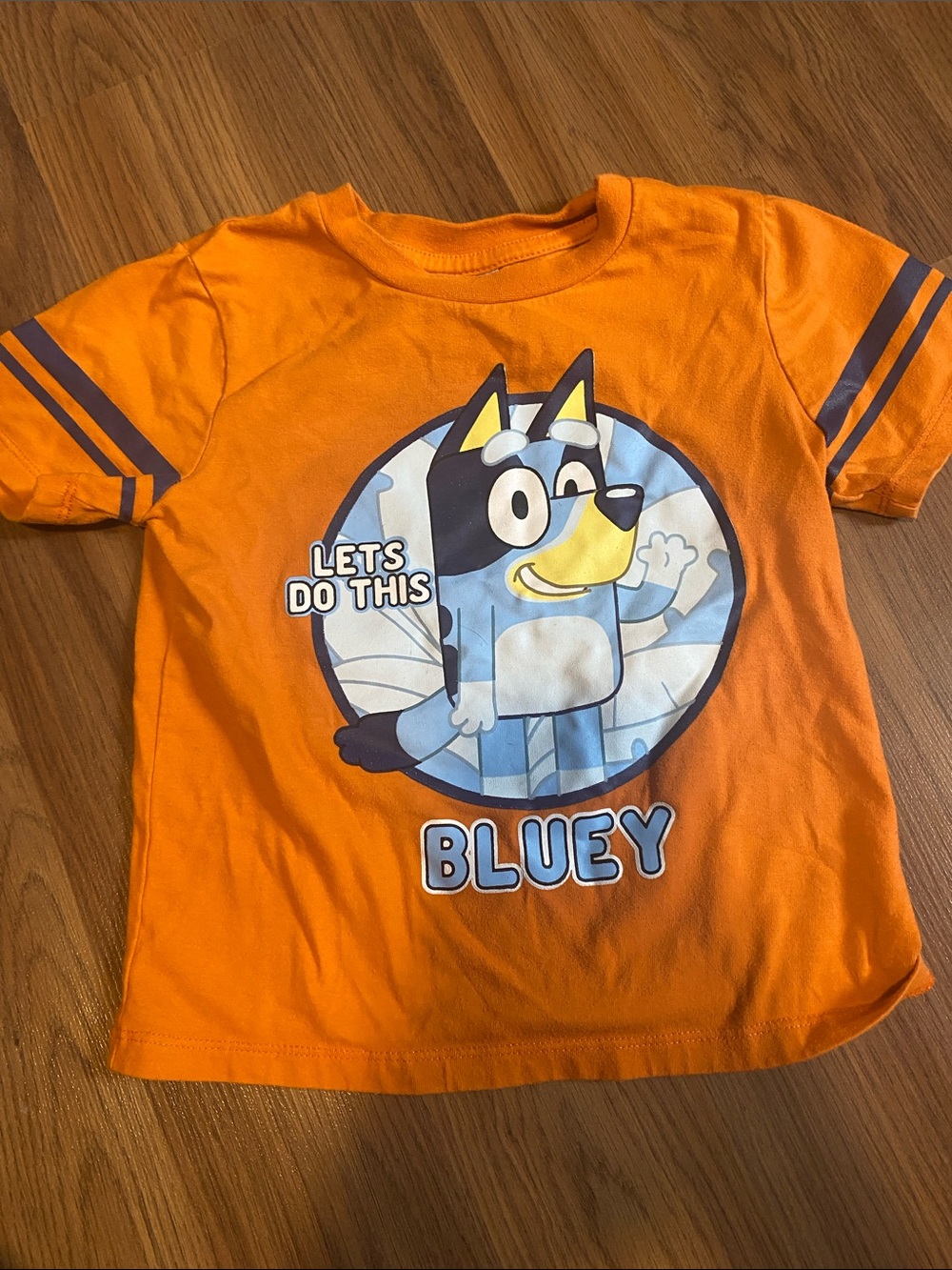 ✨8/$10. Bluey t shirt. Size 4T